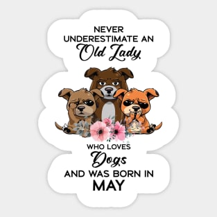 Never Underestimate An Old Woman Who Loves Dogs And Was Born In May Sticker